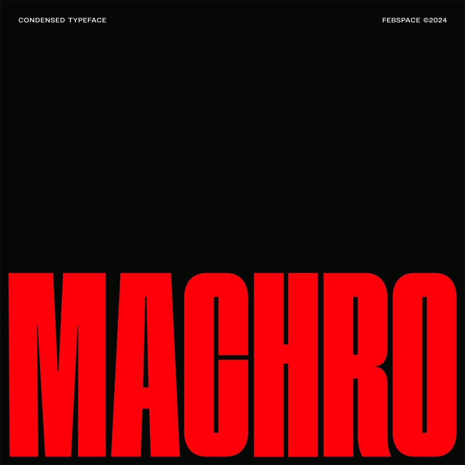 FBS Machro Condensed cover