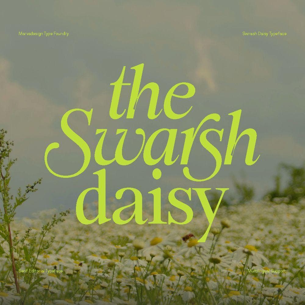Swarsh Daisy cover