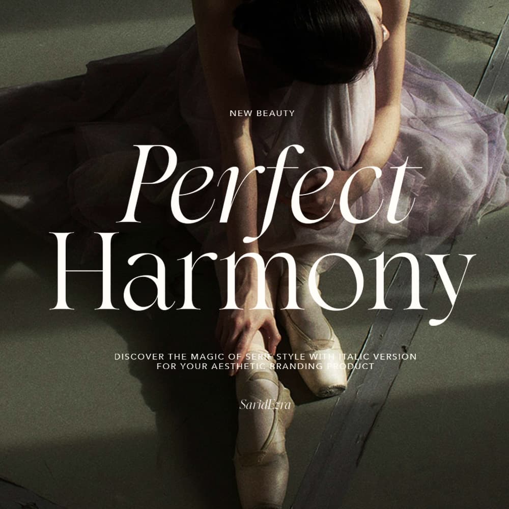 Perfect Harmony - Aesthetic Serif cover