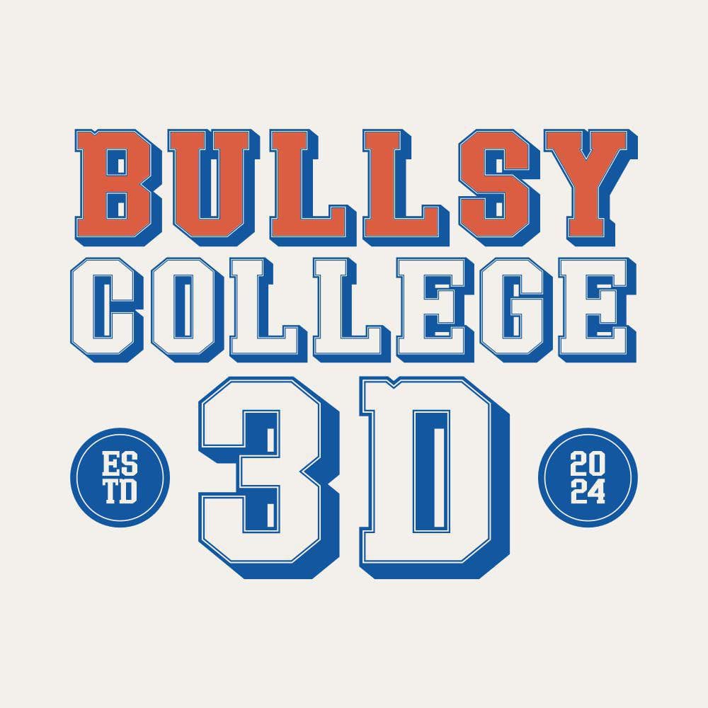 Bullsy College 3D cover