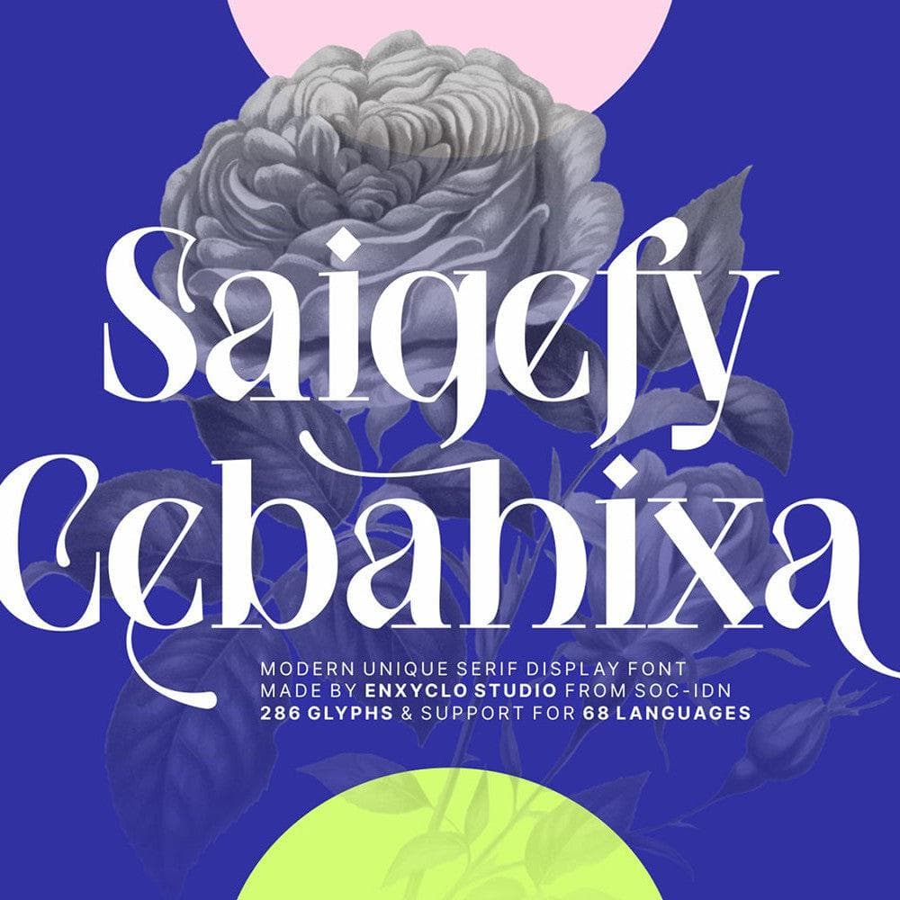 SAIGEFY CEBAHIXA cover
