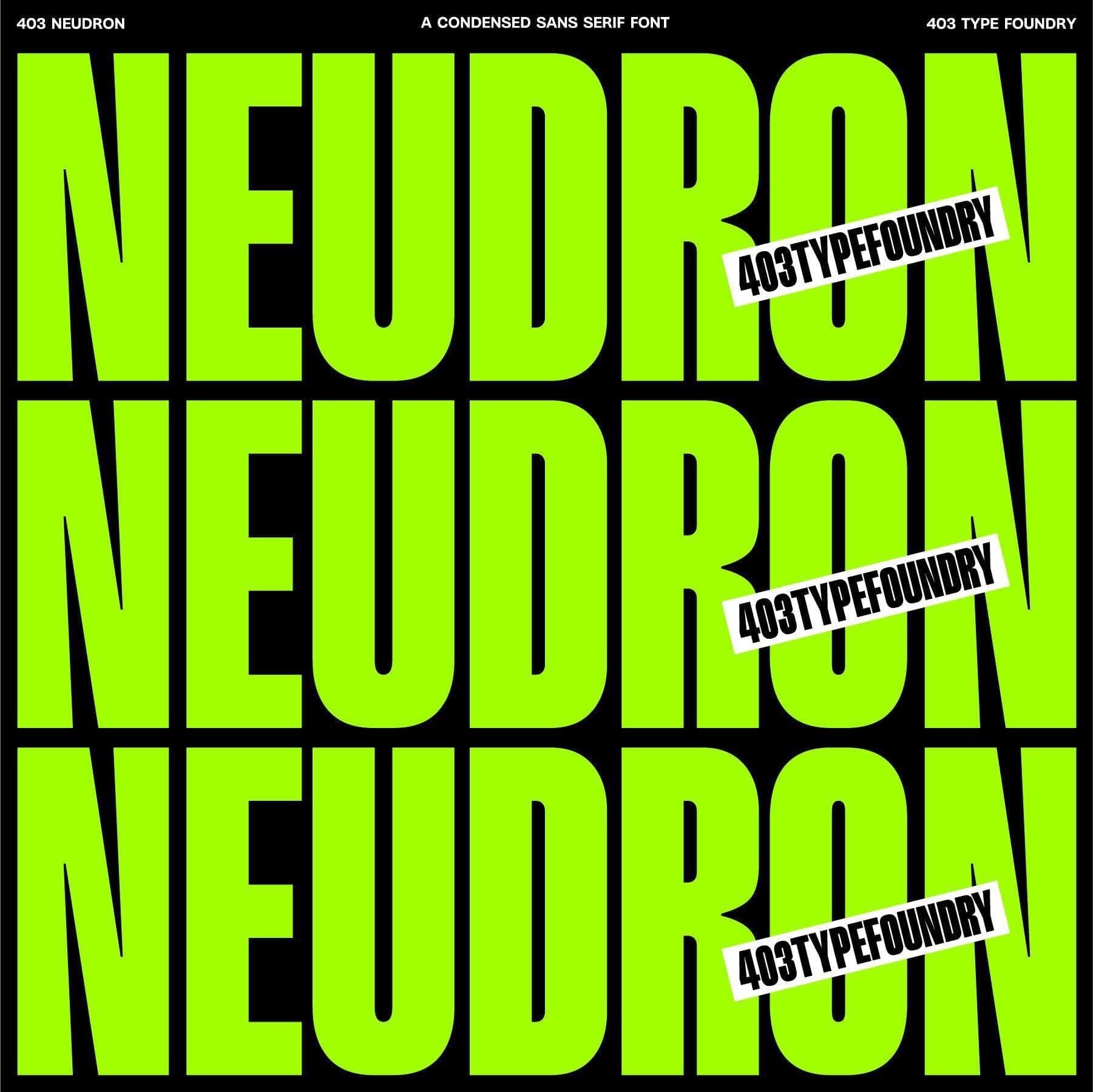 403 Neudron cover