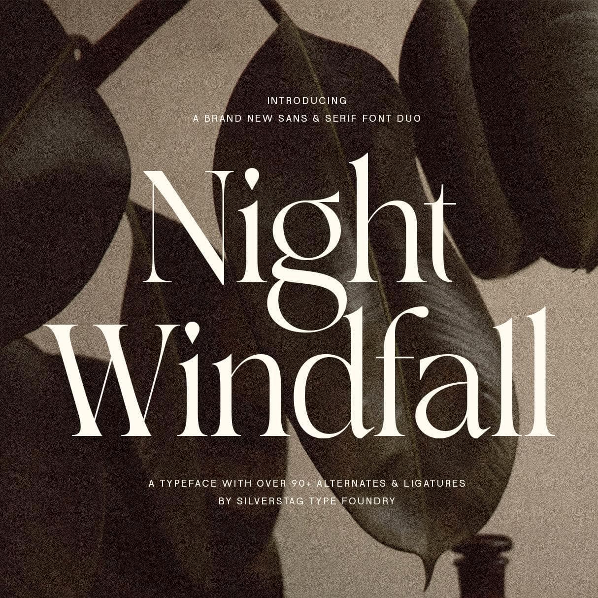SLTF Night Windfall - Sans & Serif Font Duo cover