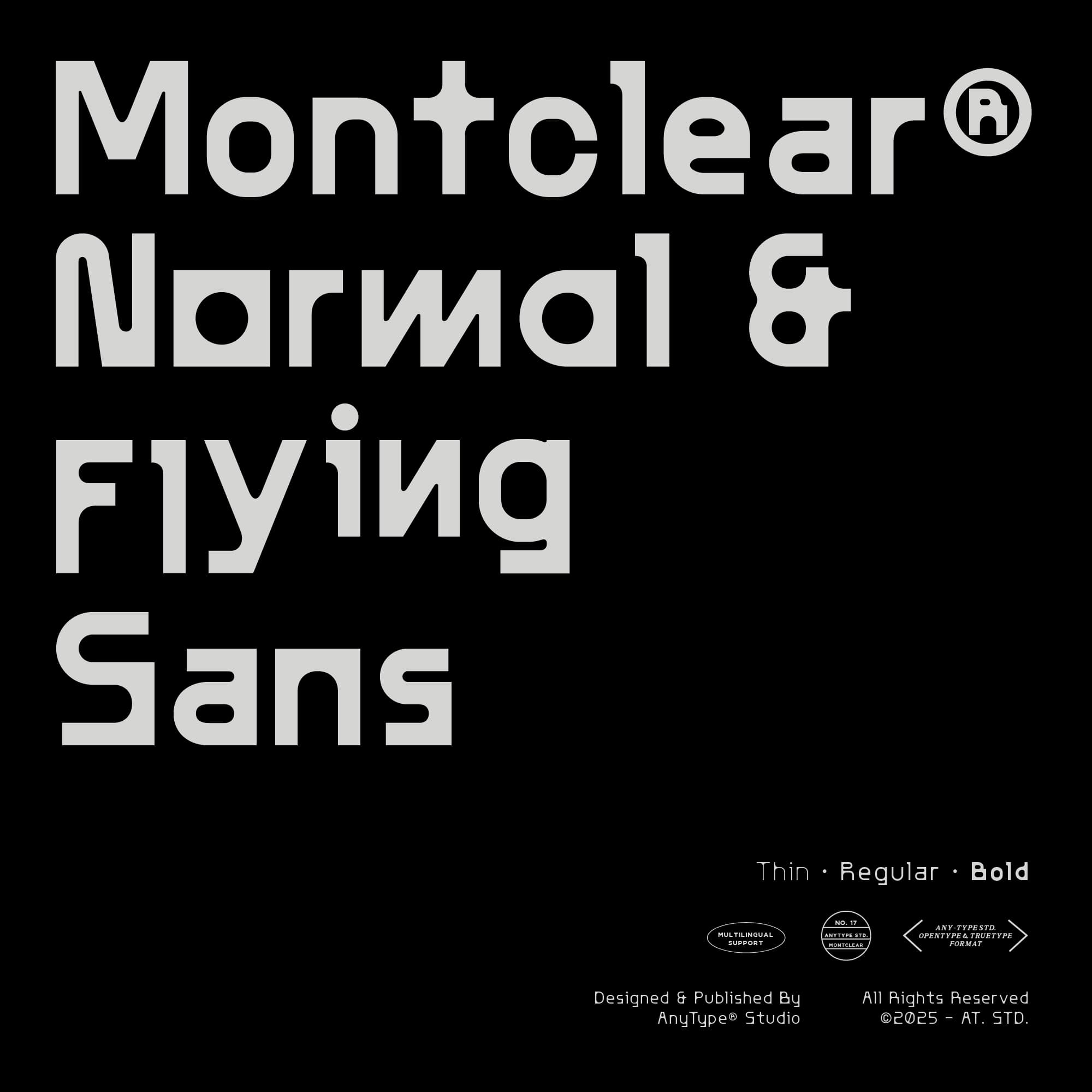 AT Montclear: Versatile Font with Dynamic Styles cover