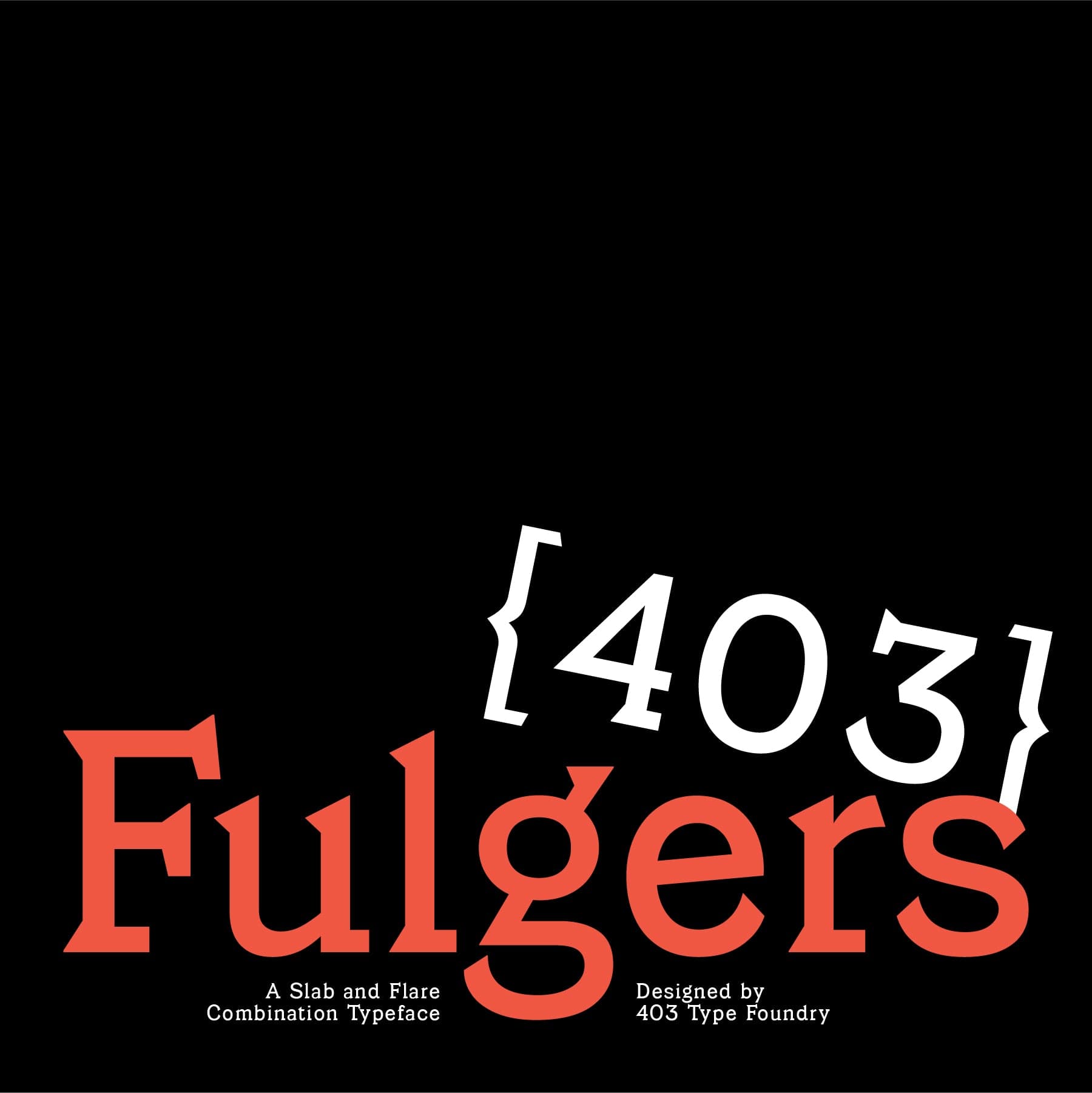 403 Fulgers cover