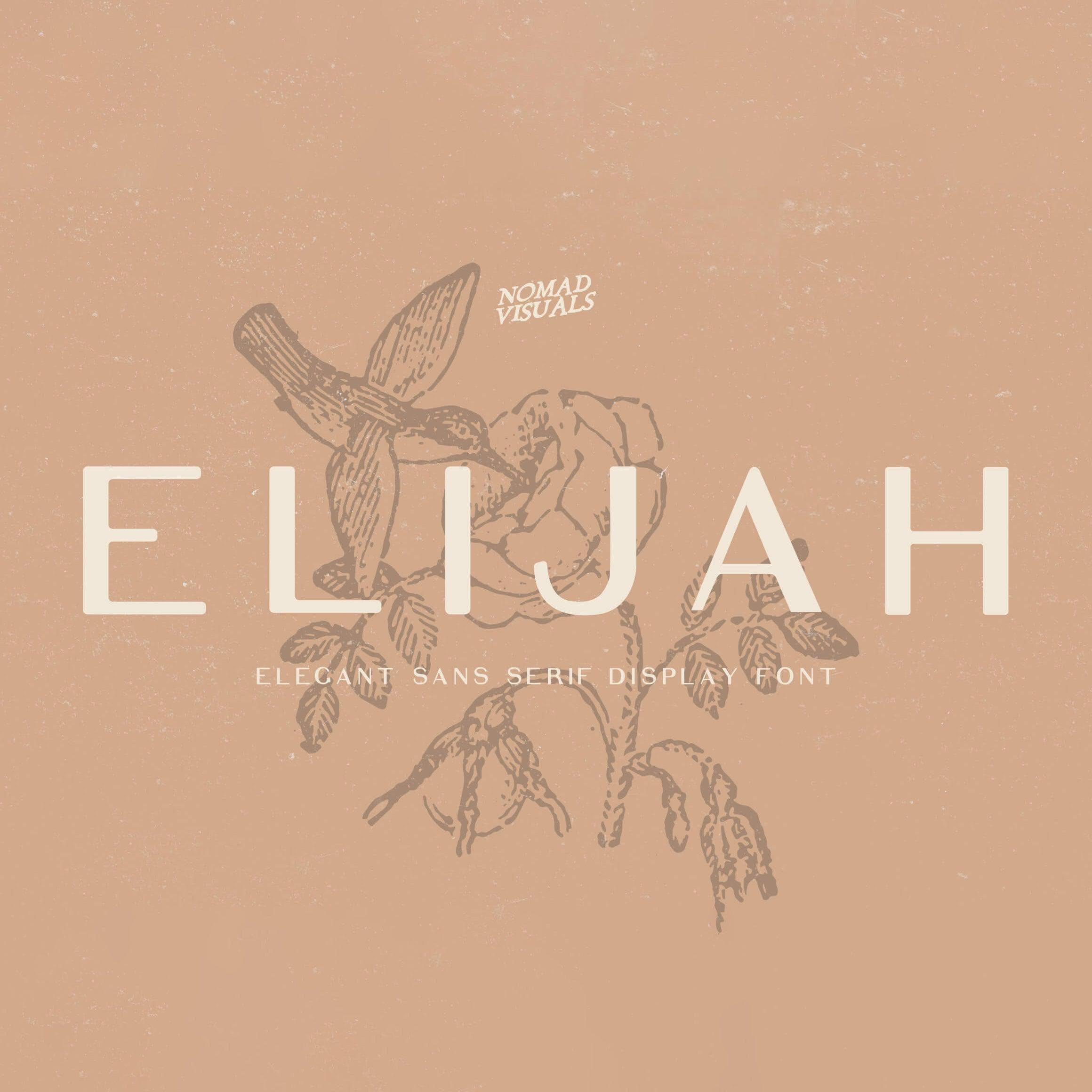 Elijah Sans Serif Display Font cover